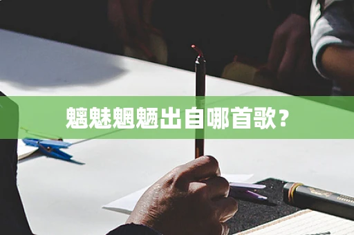 魑魅魍魉出自哪首歌？