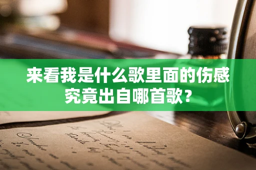 来看我是什么歌里面的伤感究竟出自哪首歌？