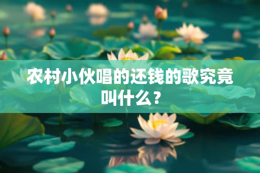 农村小伙唱的还钱的歌究竟叫什么？