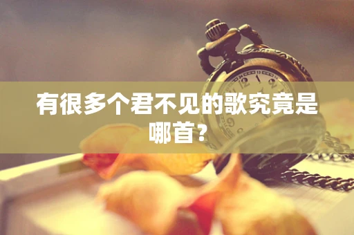有很多个君不见的歌究竟是哪首？