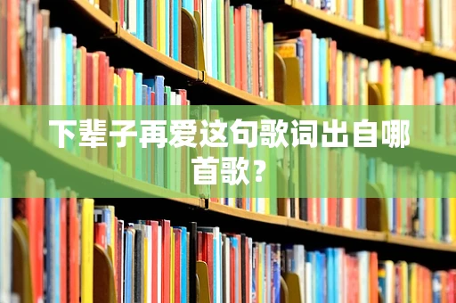 下辈子再爱这句歌词出自哪首歌？