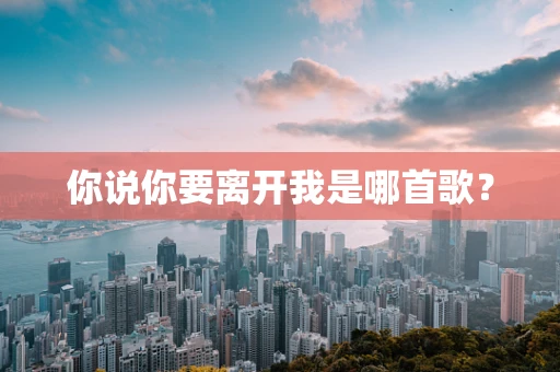 你说你要离开我是哪首歌？