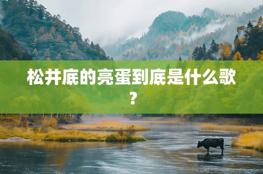 松井底的亮蛋到底是什么歌？