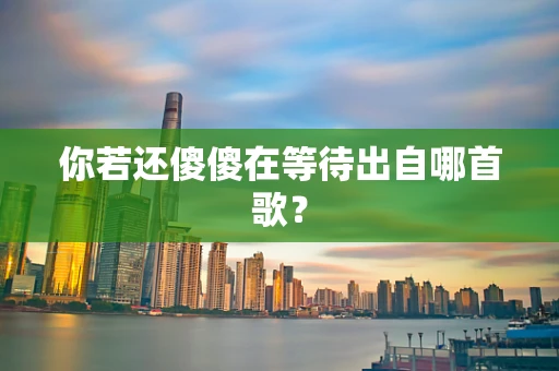 你若还傻傻在等待出自哪首歌？