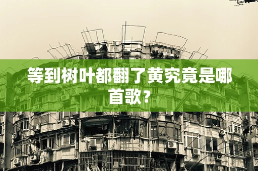 等到树叶都翻了黄究竟是哪首歌？