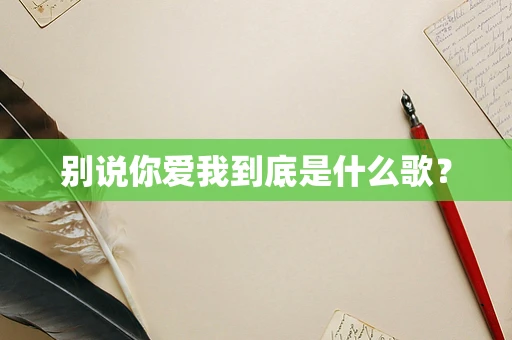 别说你爱我到底是什么歌？