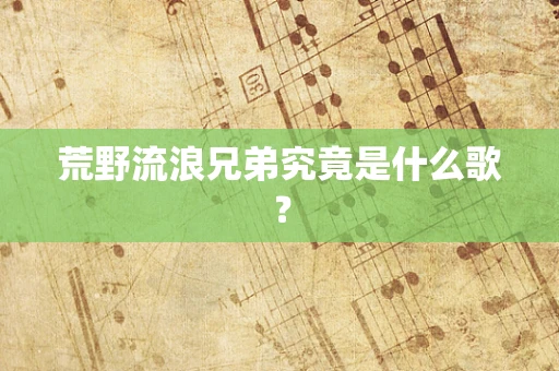 荒野流浪兄弟究竟是什么歌？