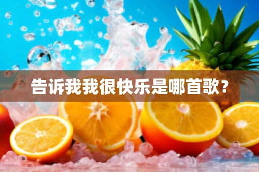 告诉我我很快乐是哪首歌？