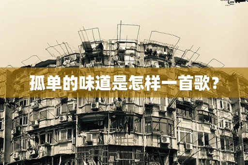 孤单的味道是怎样一首歌？