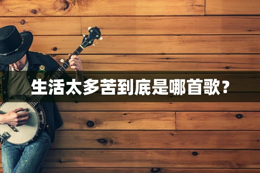 生活太多苦到底是哪首歌？