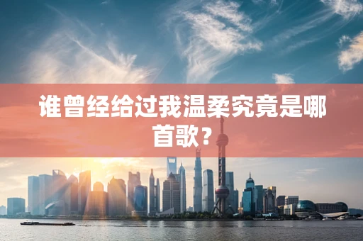 谁曾经给过我温柔究竟是哪首歌？