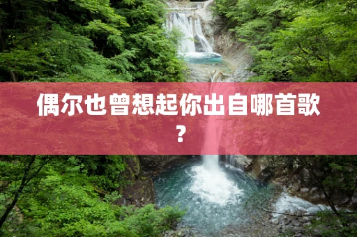 偶尔也曾想起你出自哪首歌？
