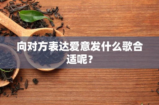向对方表达爱意发什么歌合适呢？
