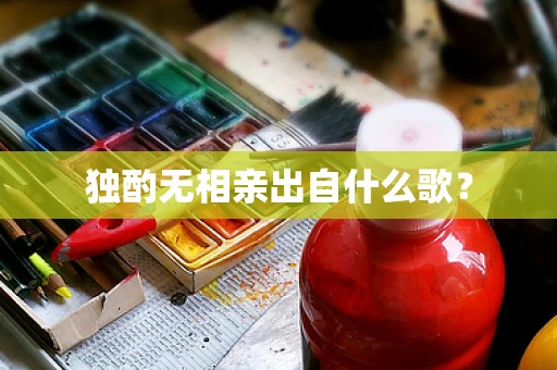 独酌无相亲出自什么歌？