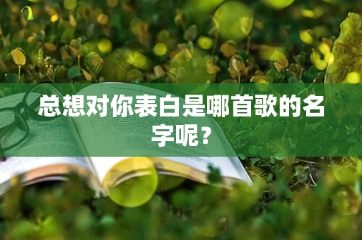 总想对你表白是哪首歌的名字呢？