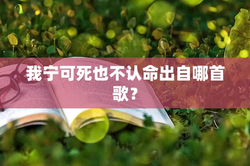 我宁可死也不认命出自哪首歌？