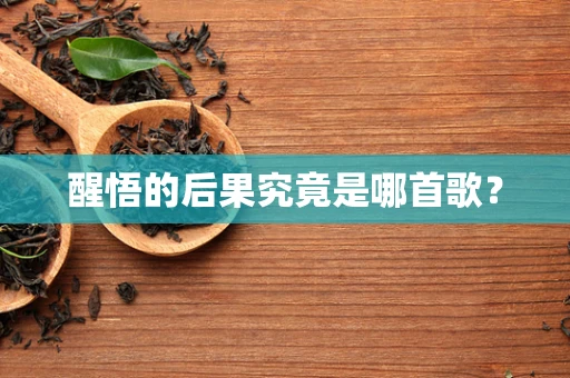 醒悟的后果究竟是哪首歌？