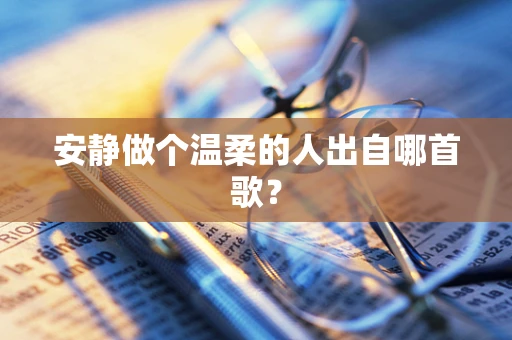 安静做个温柔的人出自哪首歌？