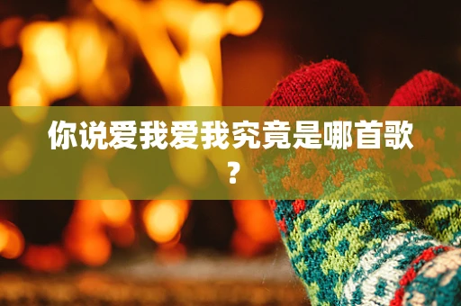 你说爱我爱我究竟是哪首歌？