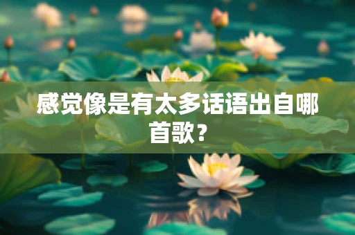 感觉像是有太多话语出自哪首歌？