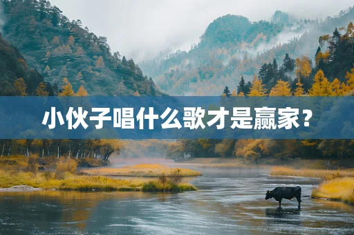 小伙子唱什么歌才是赢家？