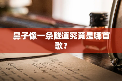 鼻子像一条隧道究竟是哪首歌？