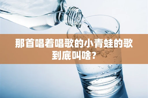 那首唱着唱歌的小青蛙的歌到底叫啥？