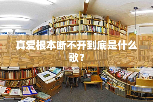 真爱根本断不开到底是什么歌？