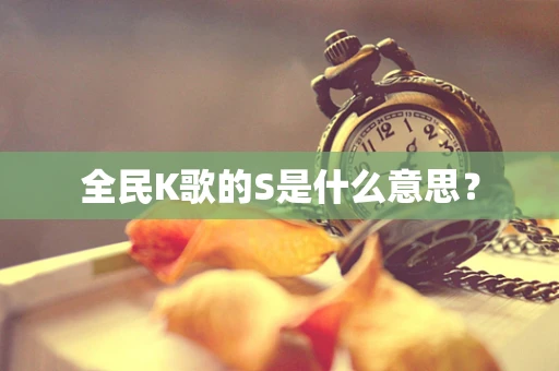 全民K歌的S是什么意思？