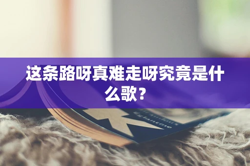 这条路呀真难走呀究竟是什么歌？