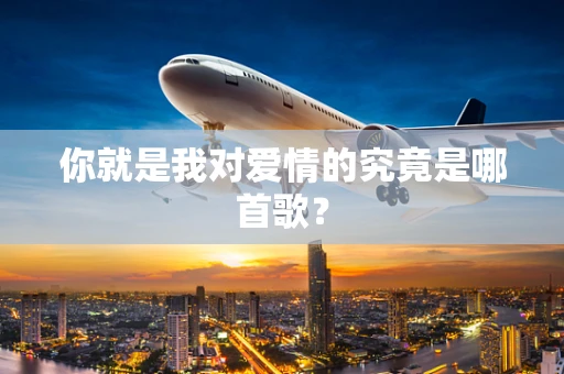 你就是我对爱情的究竟是哪首歌？