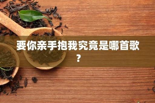 要你亲手抱我究竟是哪首歌？