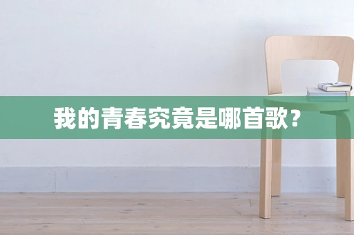 我的青春究竟是哪首歌？