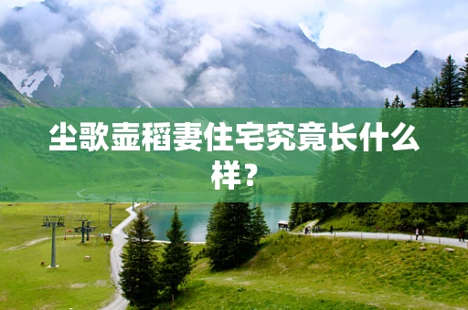 尘歌壶稻妻住宅究竟长什么样？