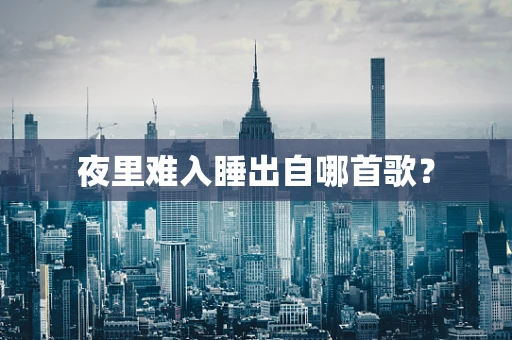 夜里难入睡出自哪首歌？