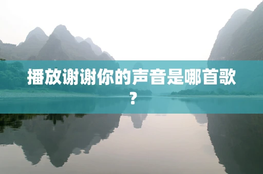 播放谢谢你的声音是哪首歌？