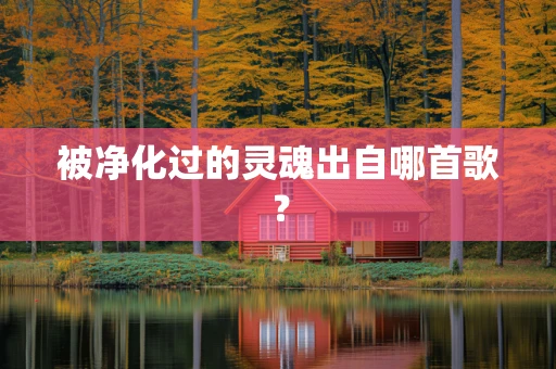 被净化过的灵魂出自哪首歌？