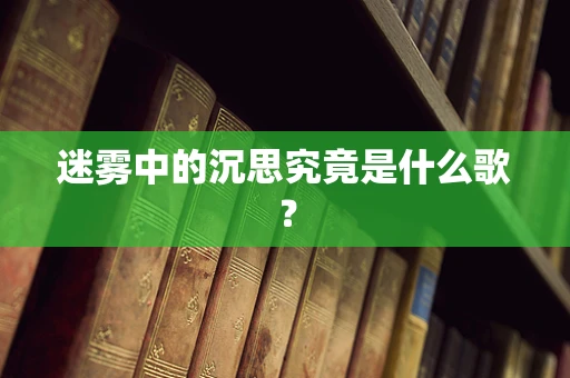迷雾中的沉思究竟是什么歌？