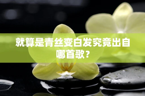 就算是青丝变白发究竟出自哪首歌？