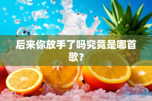 后来你放手了吗究竟是哪首歌？
