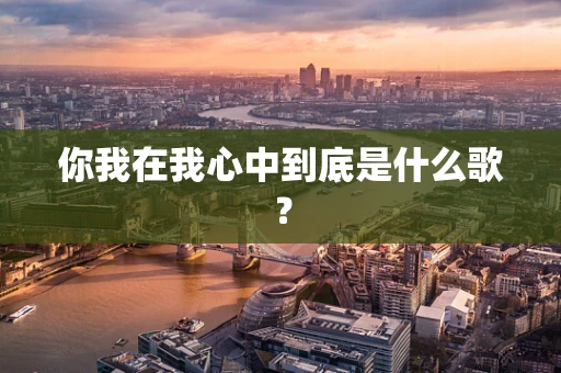 你我在我心中到底是什么歌？