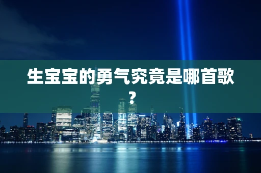 生宝宝的勇气究竟是哪首歌？