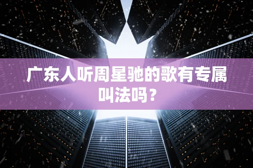 广东人听周星驰的歌有专属叫法吗？