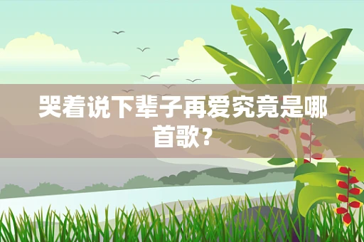哭着说下辈子再爱究竟是哪首歌？