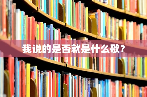 我说的是否就是什么歌？