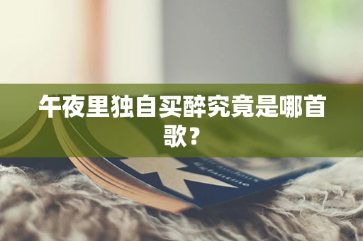 午夜里独自买醉究竟是哪首歌？