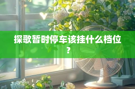 探歌暂时停车该挂什么档位？