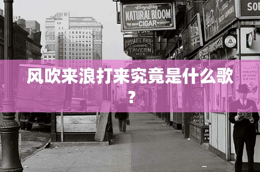 风吹来浪打来究竟是什么歌？