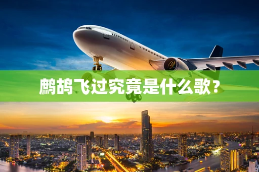 鹧鸪飞过究竟是什么歌？