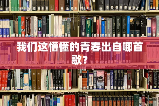 我们这懵懂的青春出自哪首歌？